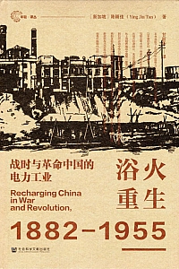 《浴火重生:战时与革命中国的电力工业》陈颖佳