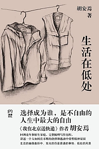 《生活在低处》胡安焉