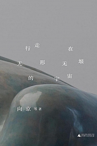 《行走在无形无垠的宇宙》向京