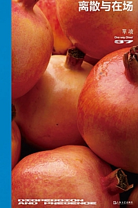 《离散与在场》吴琦主编