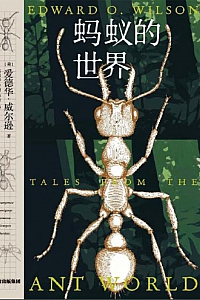 《蚂蚁的世界》爱德华·威尔逊