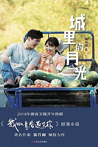 《城里的月光》滕肖澜