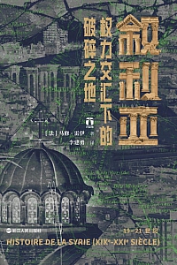 《叙利亚:权力交汇下的破碎之地》马修·雷伊
