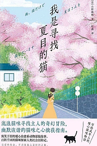《我是寻找夏目的猫》白野猫咪