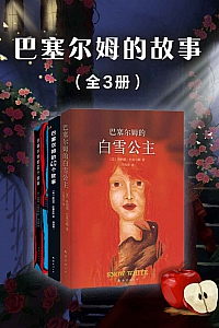 《巴塞尔姆的故事》套装共3册/唐纳德·巴塞尔姆