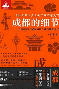 《成都的细节》张丰