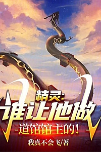 《精灵,谁让他做道馆馆主的》我真不会飞