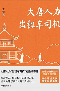 《大唐人力出租车司机》王斌