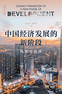 《中国经济发展的新阶段:机会与选择》宋立刚