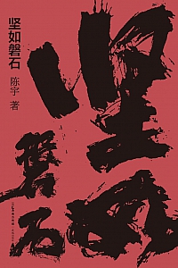 《坚如磐石》陈宇