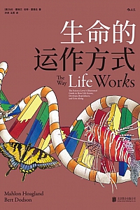 《生命的运作方式》马伦·霍格兰