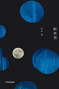 《积木书》赵松