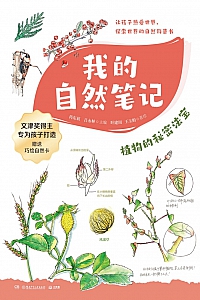《我的自然笔记:植物的秘密法宝》芮东莉