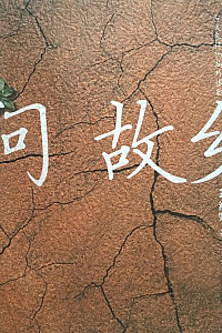 《问故乡》王兆军