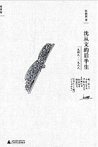 《沈从文的后半生:1948-1988》张新颖