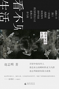 《看不见的生活》赵志明