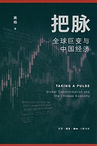 《把脉:全球巨变与中国经济》高柏