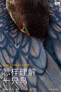 《怎样理解一只鸟》童文菲