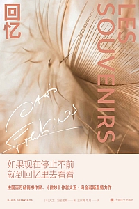 《回忆》大卫·冯金诺斯