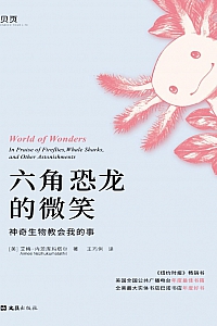 《六角恐龙的微笑》艾梅·内茨库玛塔尔