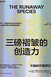 《三磅褶皱的创造力》大卫·伊格曼