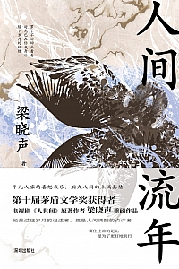 《人间流年》梁晓声