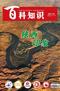 《百科知识》