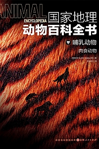 《哺乳动物:肉食动物》
