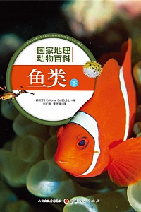 《鱼类:下》国家地理动物百科