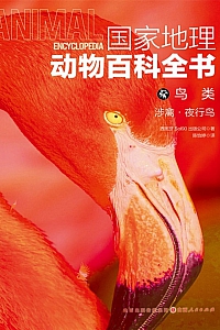 《鸟类:涉禽·夜行鸟》