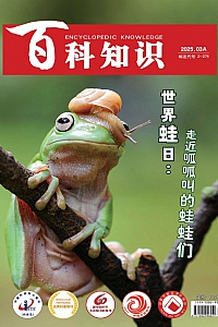 《百科知识·2025年第5期》