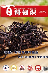《百科知识·2025年第6期》