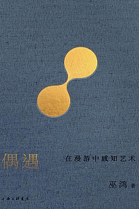 《偶遇:在漫游中感知艺术》巫鸿