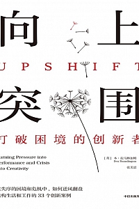 《向上突围》本·拉马林加姆