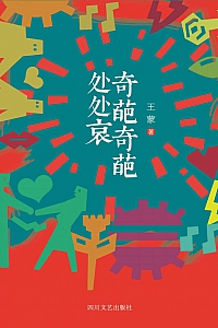 《奇葩奇葩处处哀》王蒙