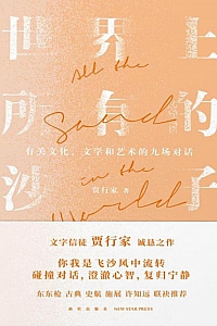 《世界上所有的沙子》贾行家