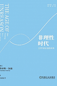 《非理性时代:工作与生活的未来》