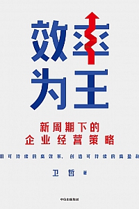 《效率为王:新周期下的企业经营策略望》卫哲