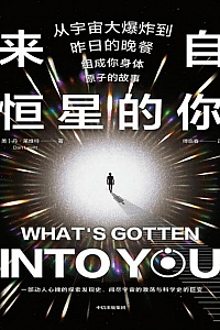 《来自恒星的你》丹·莱维特