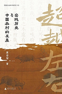 《超越左右:实践历史与中国农村的发展》 黄宗智
