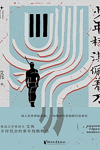 《少年杨淇佩着刀》艾伟