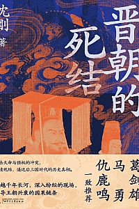 《晋朝的死结》沈刚