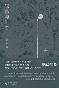《破壁与神游》陈先发