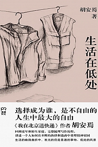 《生活在低处》胡安焉