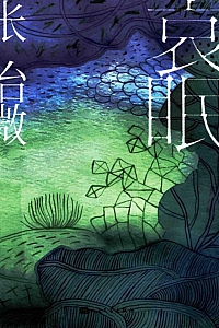 《哀眠》张怡微