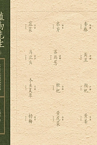 《植物先生Ⅱ:  二十四节气时食植物研学课》袁明华