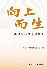 《向上而生:奋进时代的景兴纸业》陈保中
