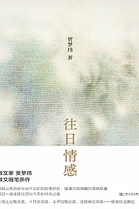 《往日情感》贾梦玮
