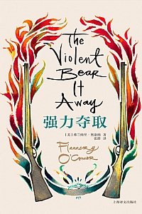 《强力夺取》弗兰纳里·奥康纳