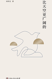《比天空更广阔的》何怀宏